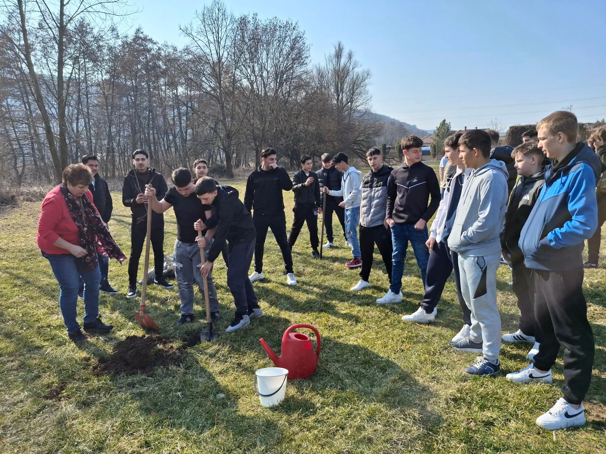 A tanulók fát ültetnek.