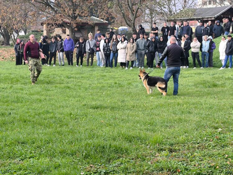 Kutyás bemutató, ahol a kutya támadni fog