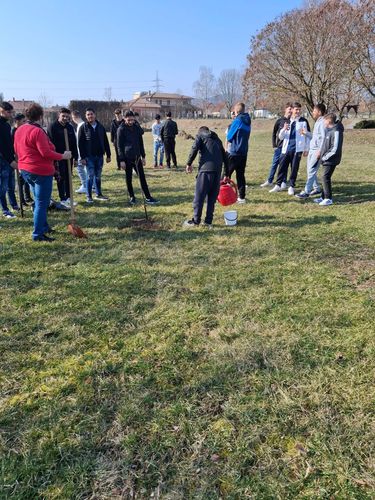 A tanulók fát ültetnek.