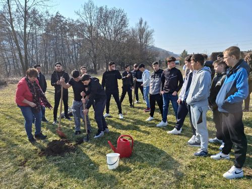 A tanulók fát ültetnek.