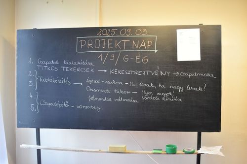 Projektnap