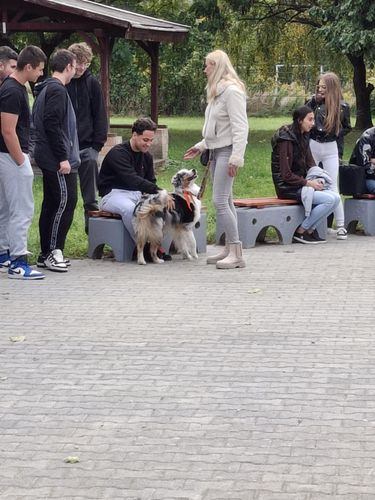 Kutyás bemutató